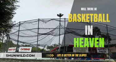 Heavenly Hoops: Basketball's Eternal Place