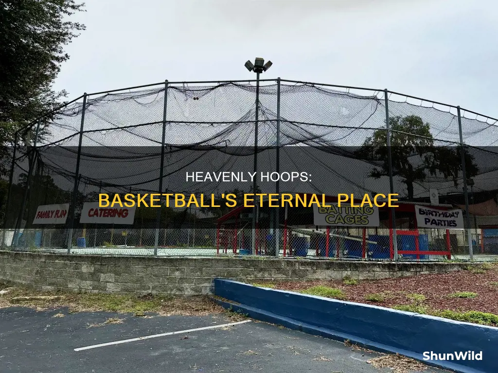 will there be basketball in heaven