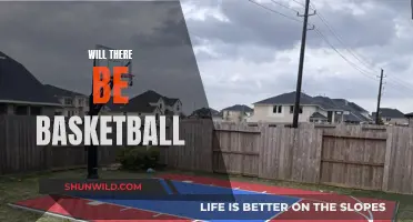 The Future of Basketball: Will the Game Survive?