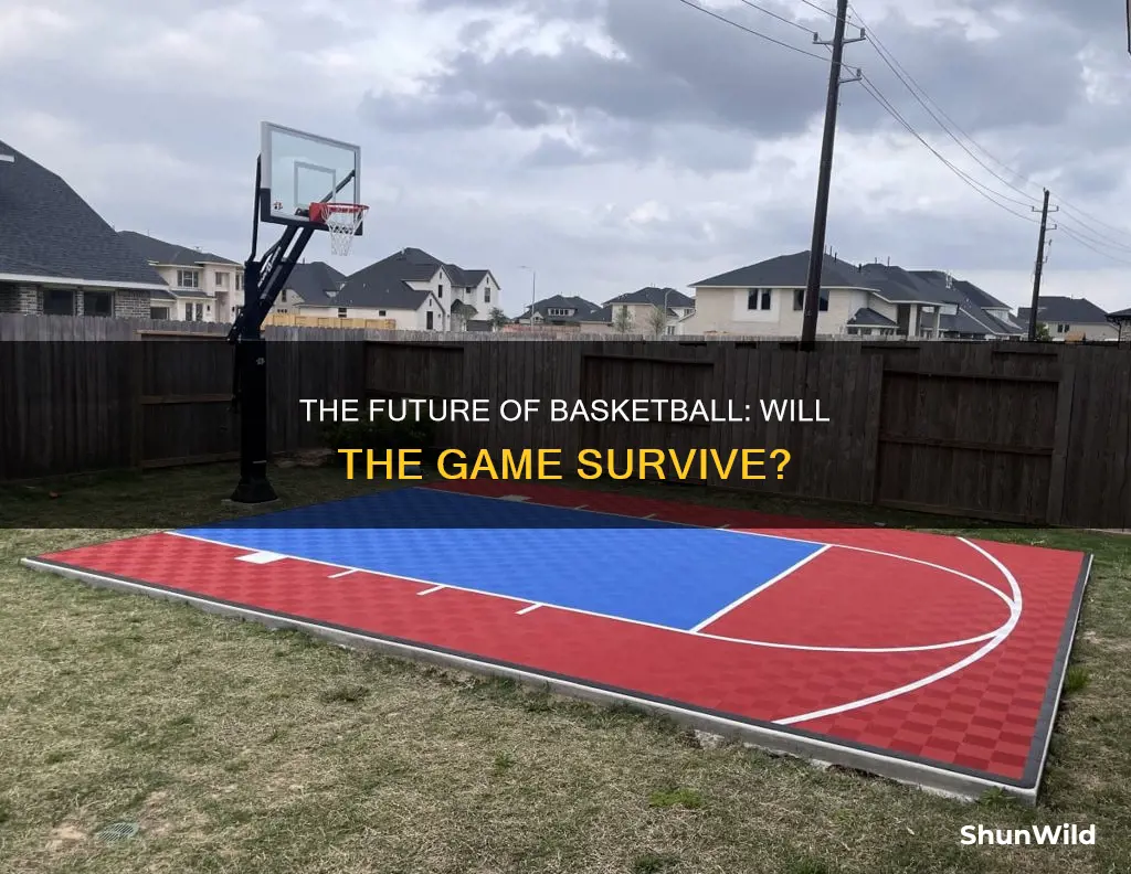 will there be basketball