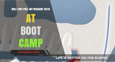 Wisdom Teeth Extraction at Boot Camp: What to Expect