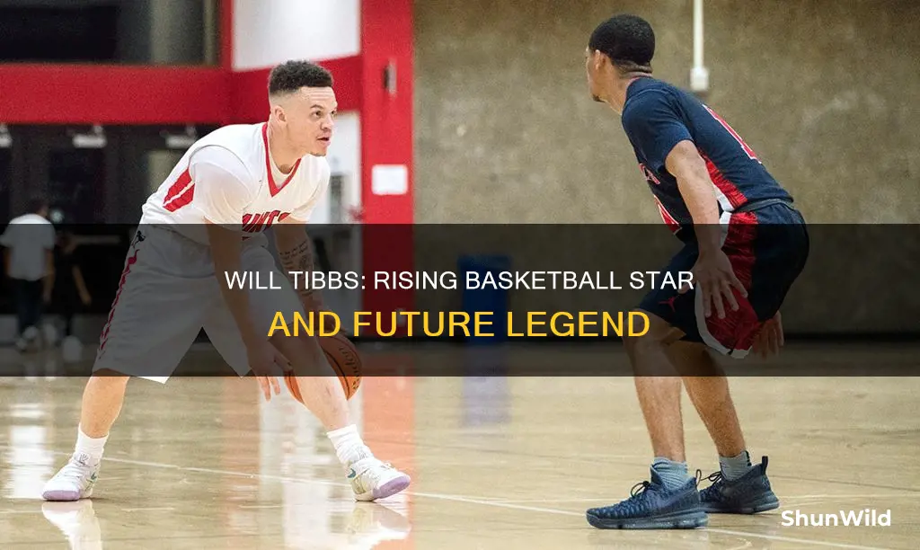 will tibbs basketball