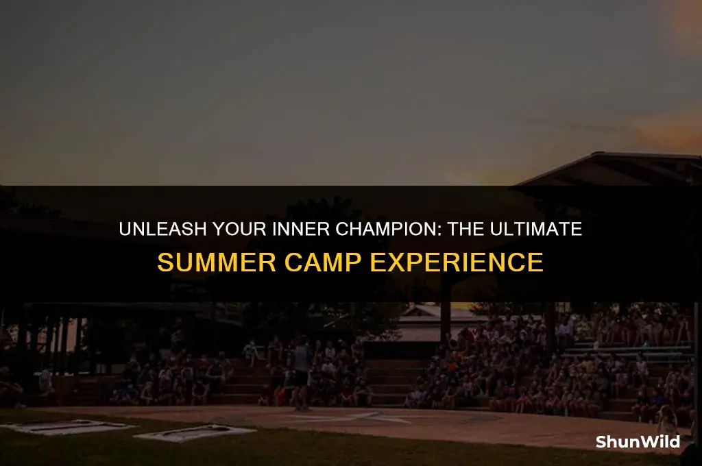 will to win summer camp
