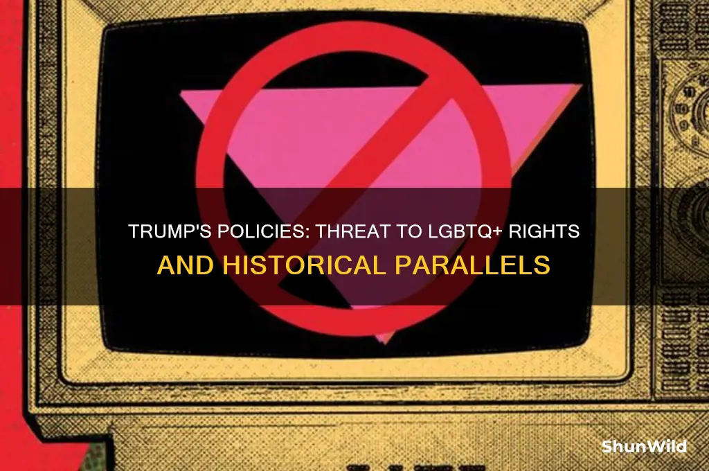 will trump put gays in concentration camps