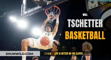 Will Tschetter's Basketball Journey: From Court to Court