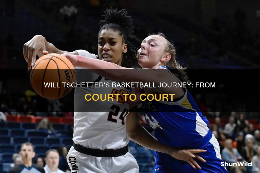will tschetter basketball