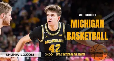 Will Tschetter: Michigan's Basketball Star on the Rise