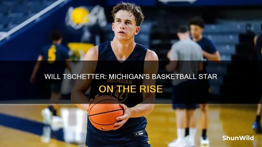 will tschetter michigan basketball