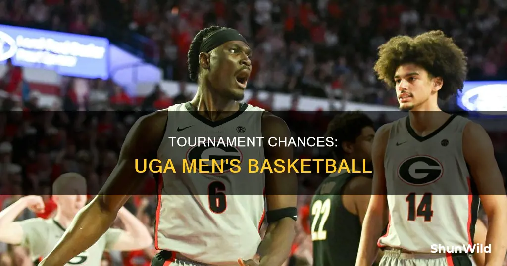 will uga men