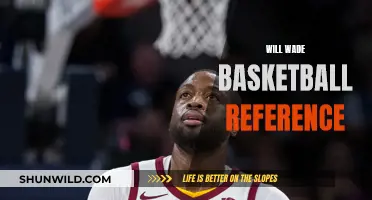 Wade's Basketball Legacy: A Statistical Reference Guide