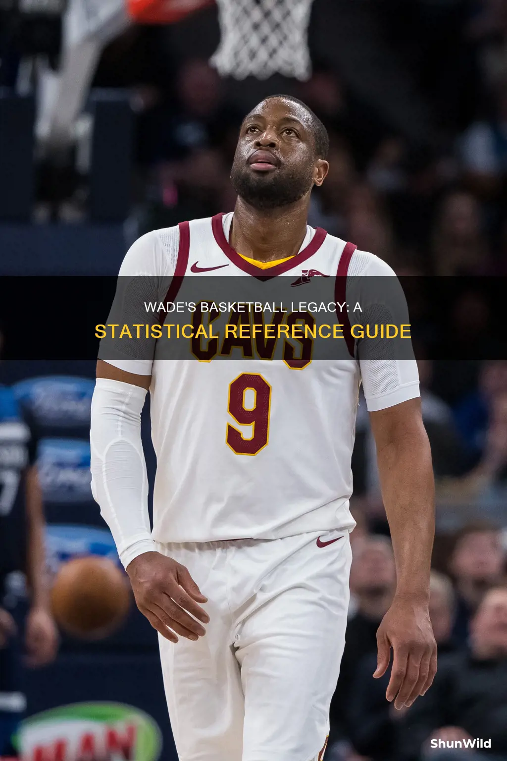will wade basketball reference