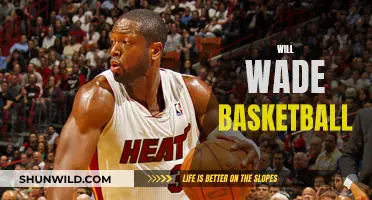 Wade's Basketball Legacy: A Champion's Impact