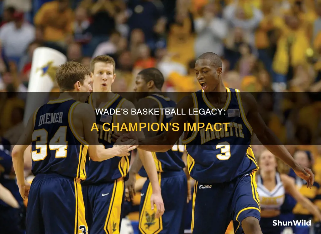 will wade basketball