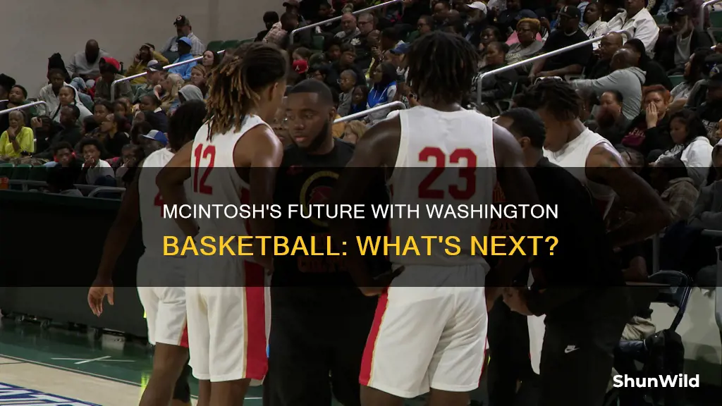 will washington basketball mcintosh