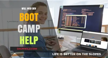 Can Web Dev Boot Camps Launch Your Coding Career Successfully?
