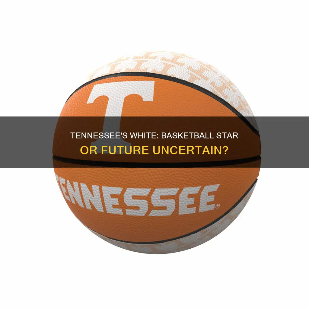 will white tennessee basketball