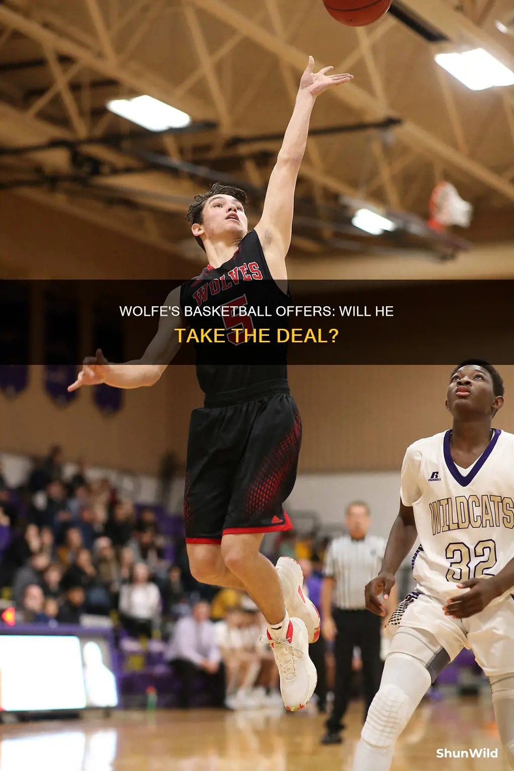 will wolfe basketball offers
