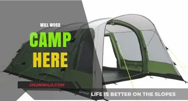 Will Wood Camp Here? Exploring the Possibilities and Practicalities