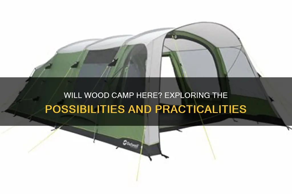 will wood camp here