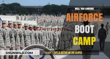 Surviving Air Force Boot Camp: What It Takes to Make It Through