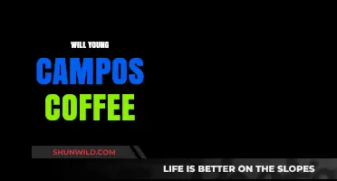 Exploring the Rich Flavors of Young Campos Coffee