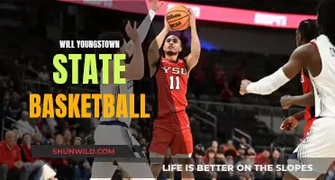 Youngstown State Basketball: Will They Rise Again?
