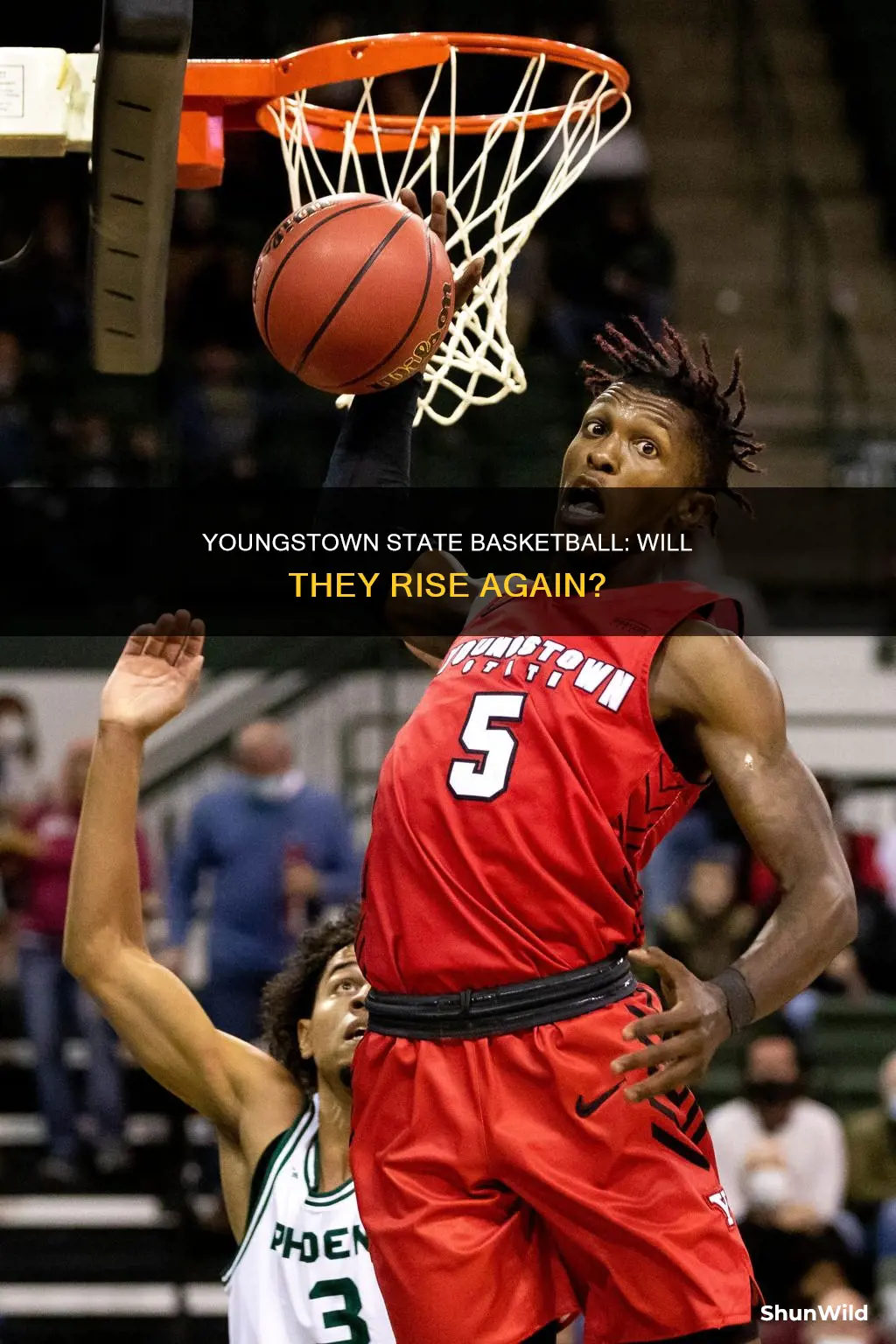 will youngstown state basketball
