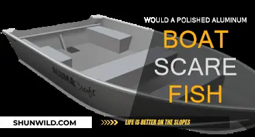 Do Polished Aluminum Boats Scare Fish Away?