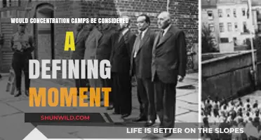 Concentration Camps: A Defining Moment in Human History?