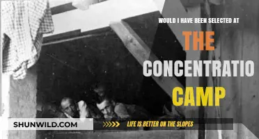 Reflecting on Fate: Would I Have Survived a Concentration Camp?