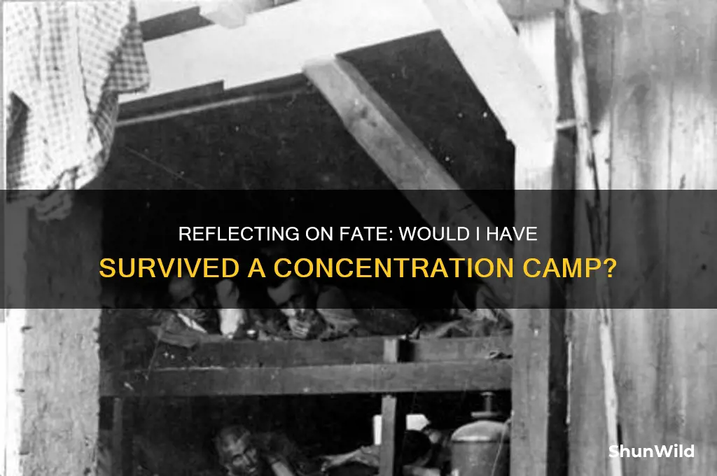 would i have been selected at the concentration camp