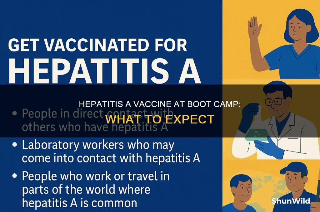 would i have gotten hep a vaccine at boot camp