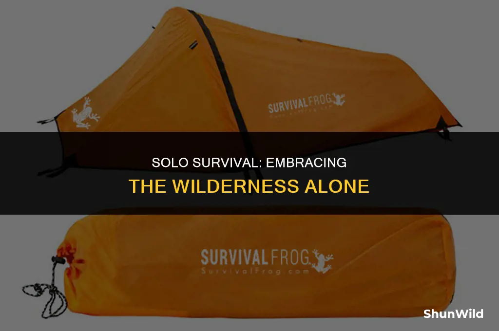 would i survive camping alone