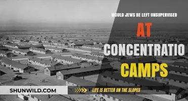 Unsupervised Jews in Concentration Camps: Historical Reality or Misconception?