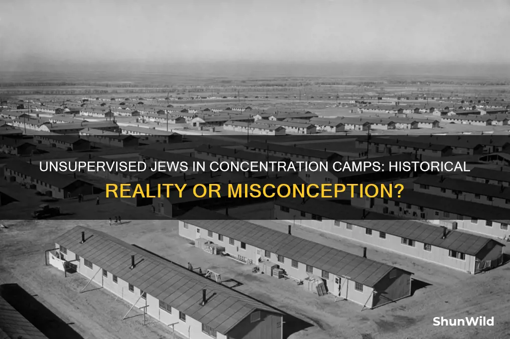would jews be left unsupervised at concentration camps