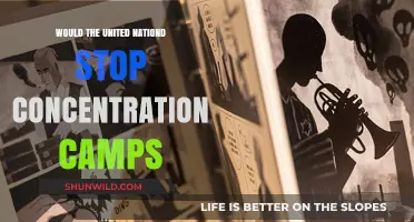 Can the UN End Concentration Camps? Global Responsibility and Action