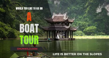 Boat Tours: A Fun Adventure for Everyone?